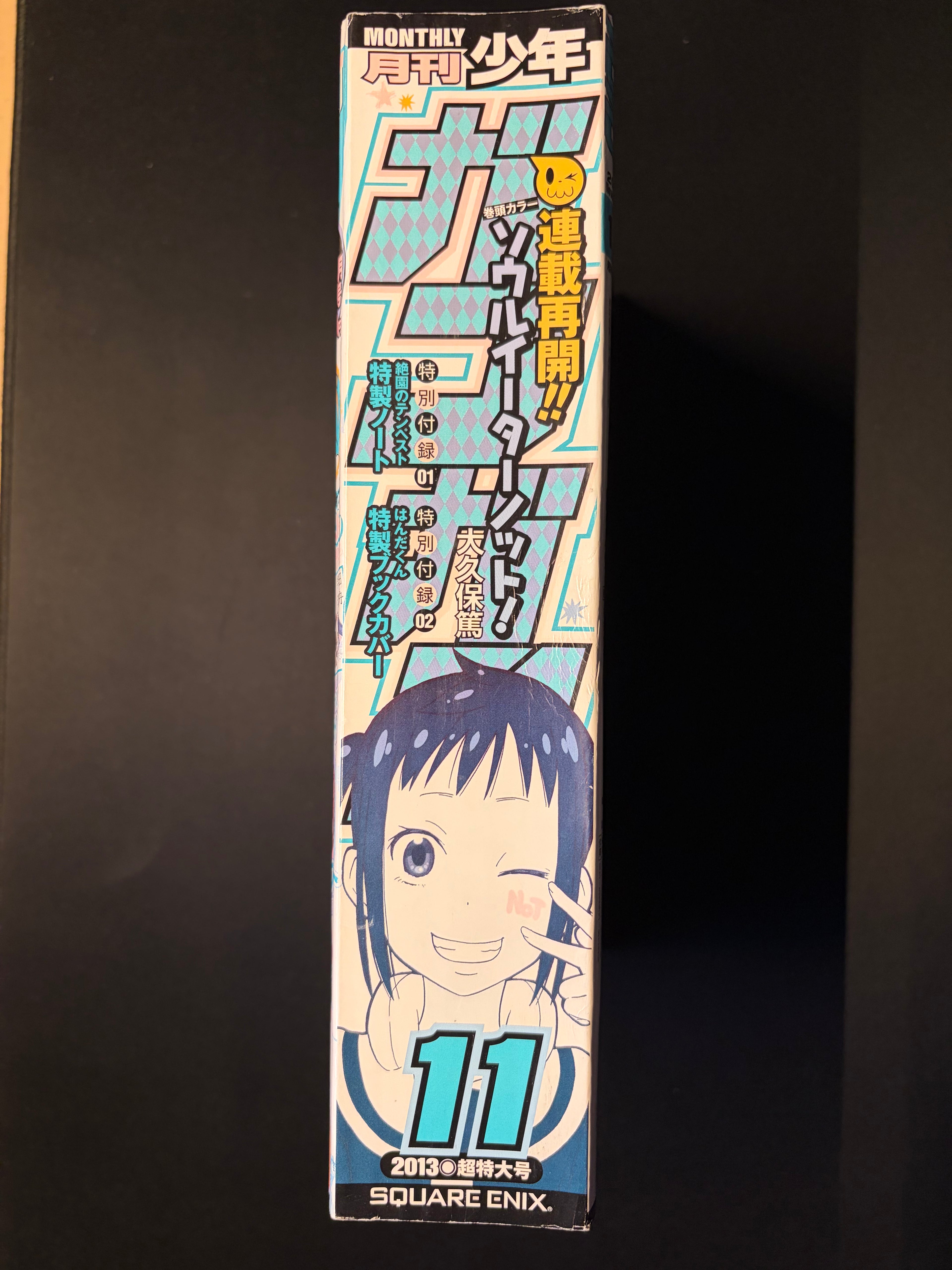 Monthly Shonen Gangan No. 11 2013