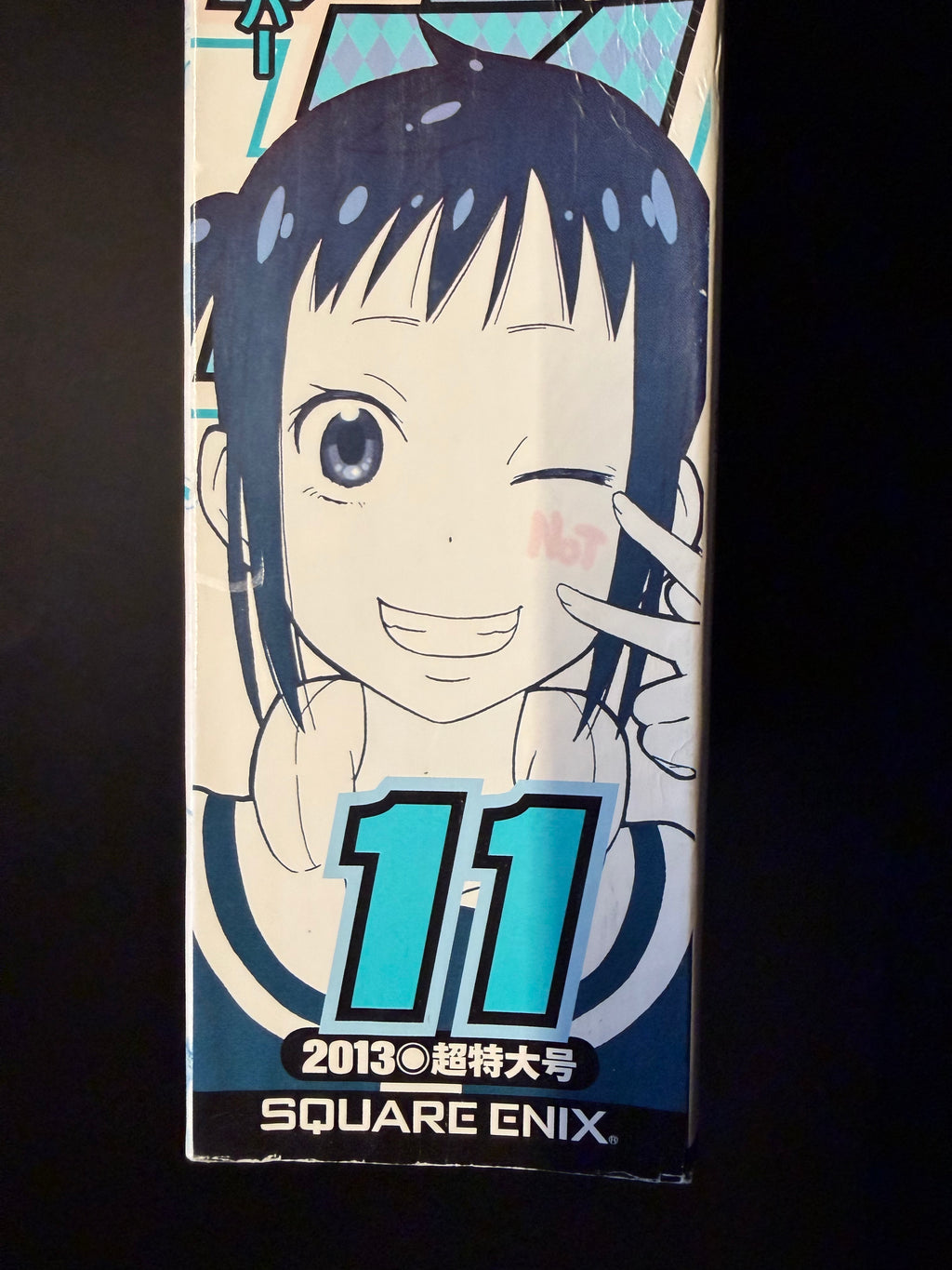 Monthly Shonen Gangan No. 11 2013