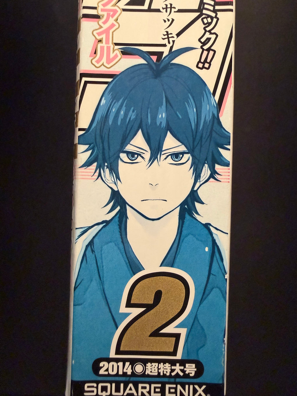 Monthly Shonen Gangan No. 2 2014