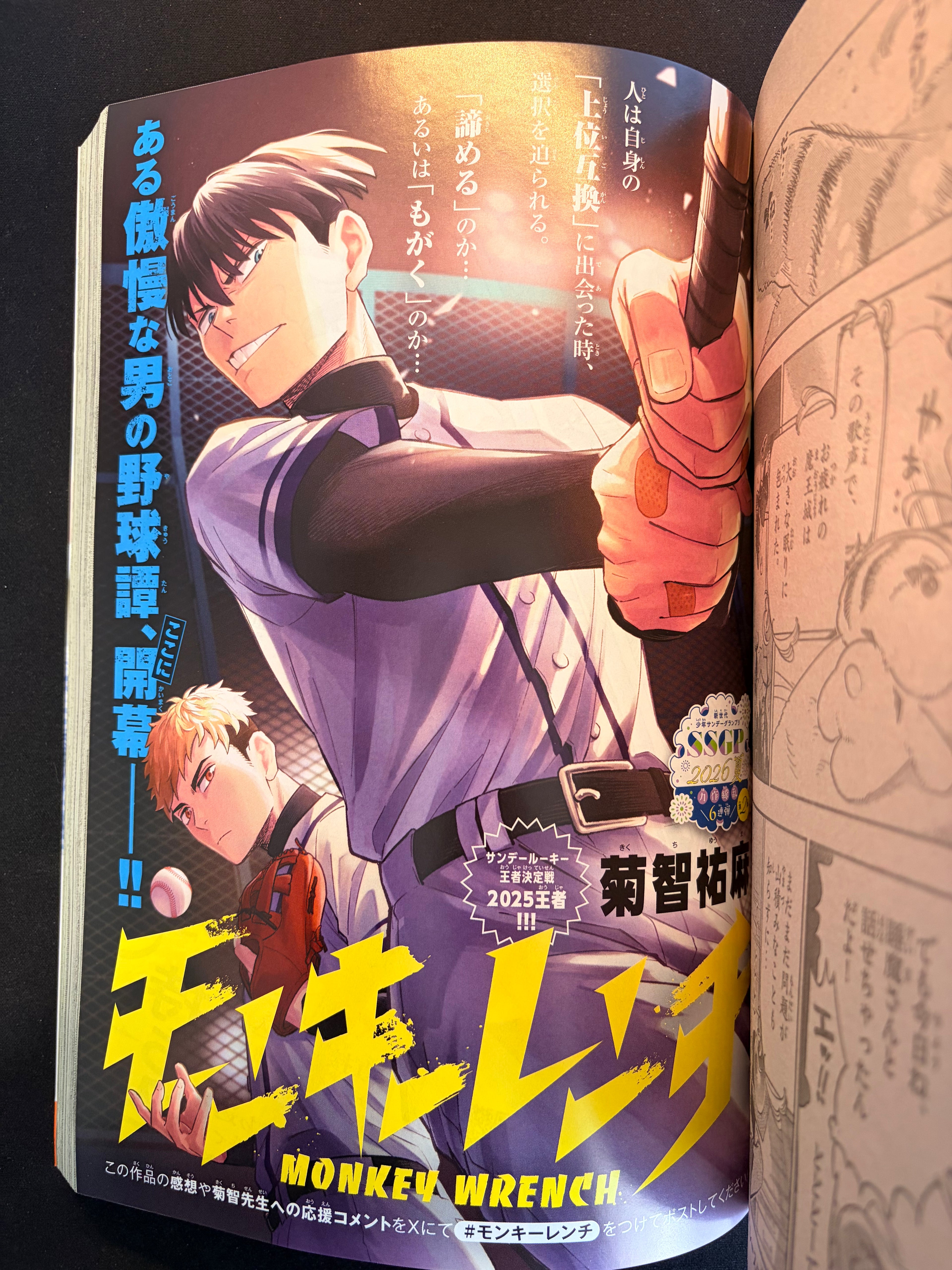 Weekly Shonen Sunday n.º 38 de 2026
