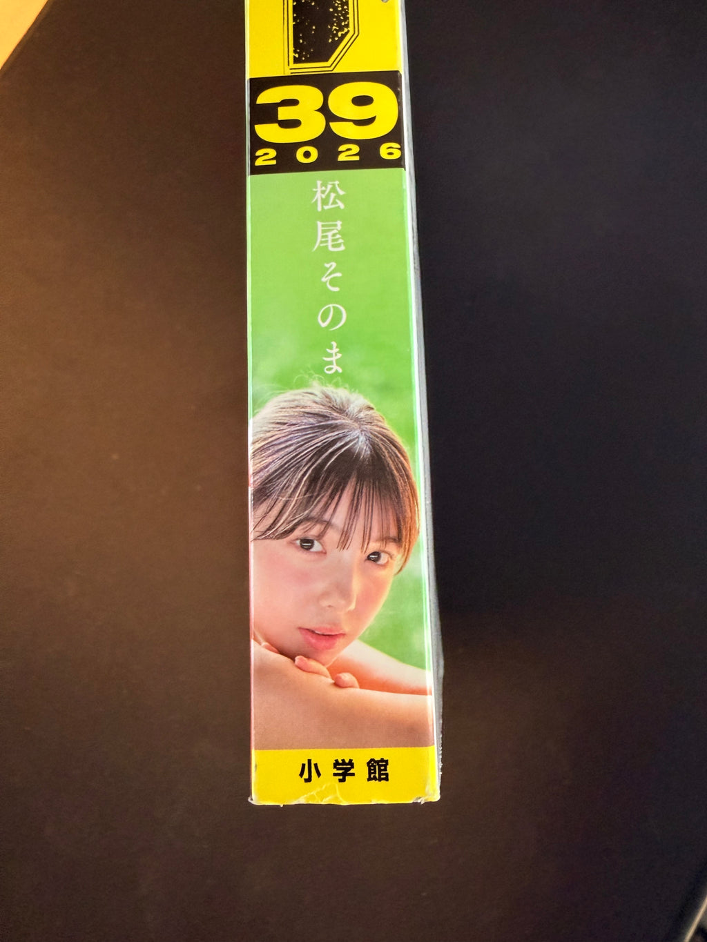 Weekly Shonen Sunday n°39 2026