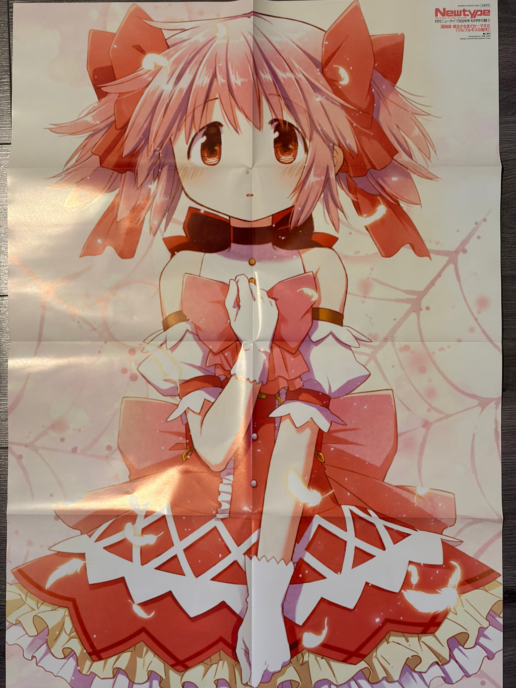 Newtype n°10 2026 -  Madoka Magica