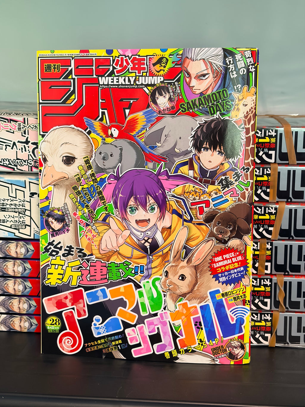 Weekly Shonen Jump n°28 2026 - Animal Signal