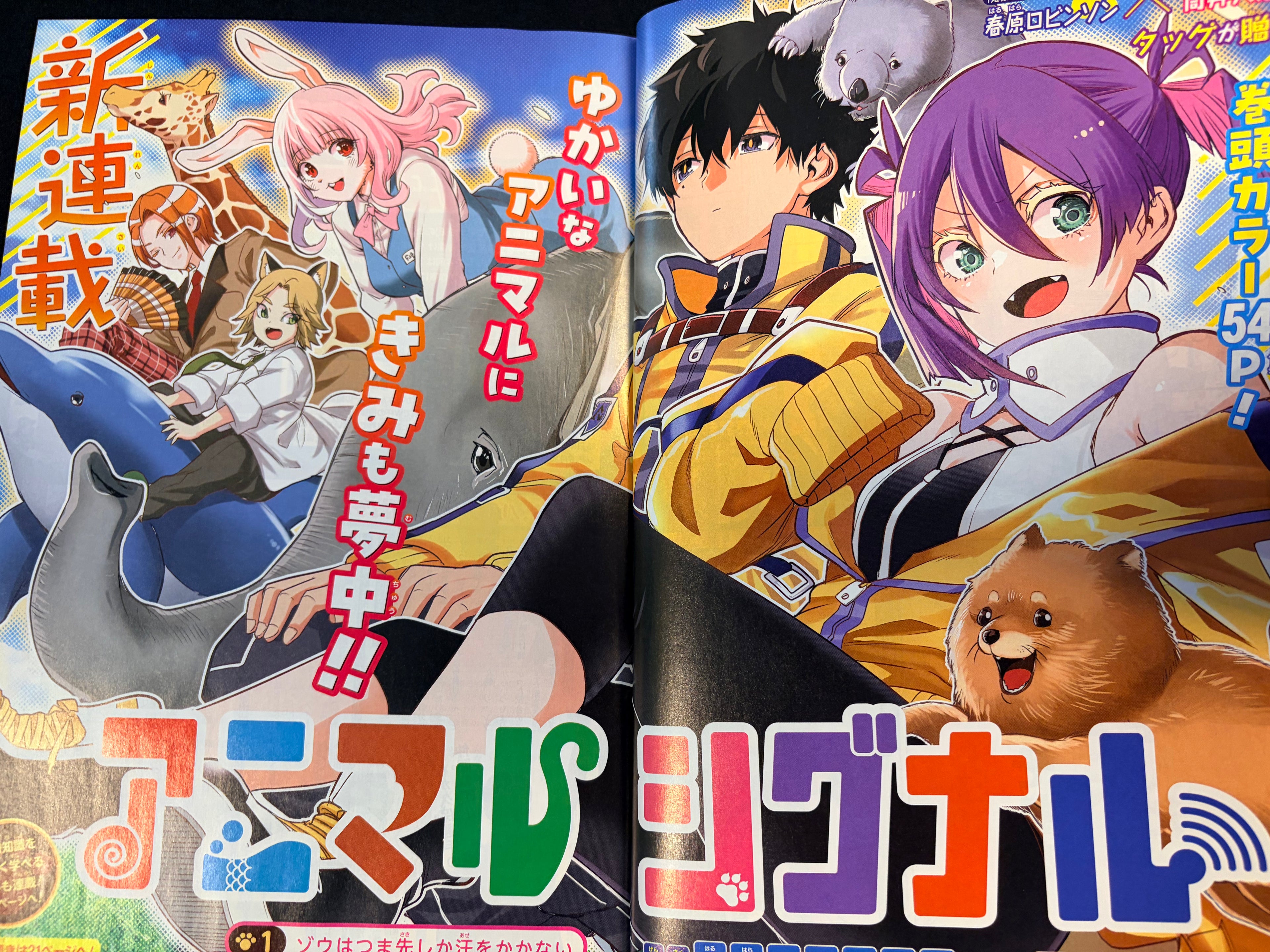 Weekly Shonen Jump n°28 2026 - Animal Signal