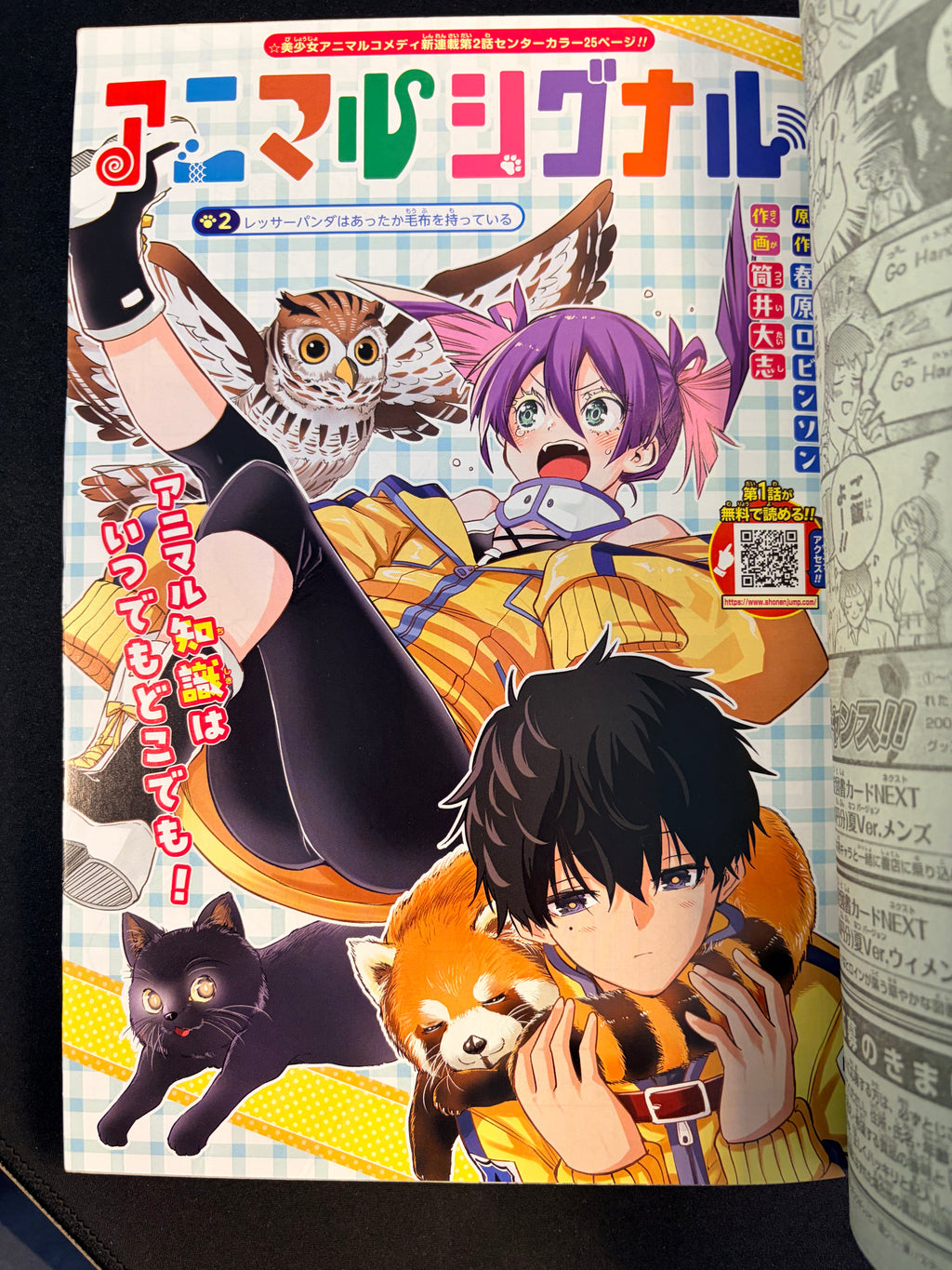 Weekly Shonen Jump n°29 2026 - Hal Formula