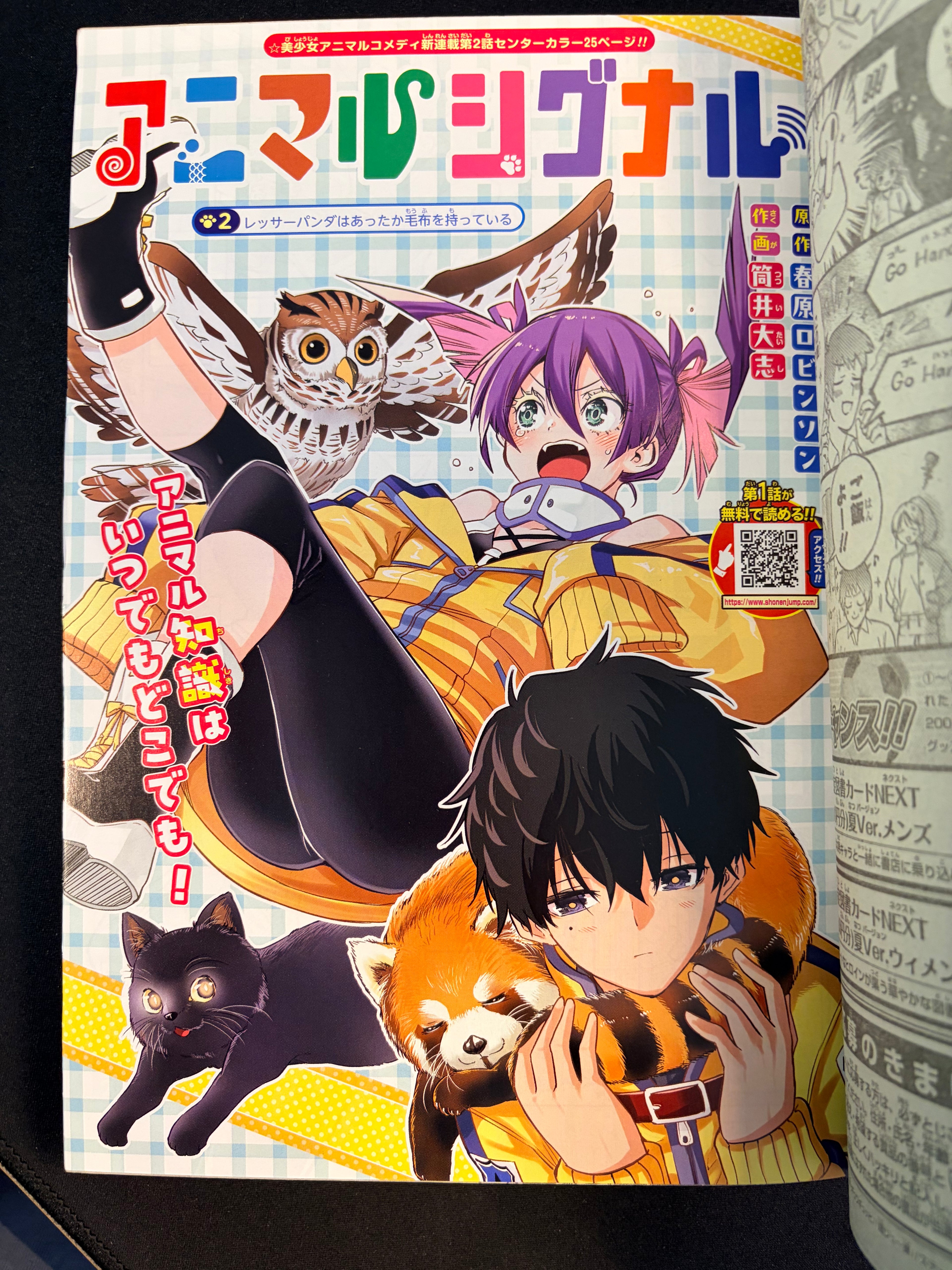 Weekly Shonen Jump n°29 2026 - Hal Formula
